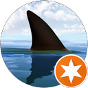 Pasc Squale profile picture