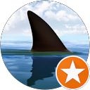 Pasc Squale profile picture